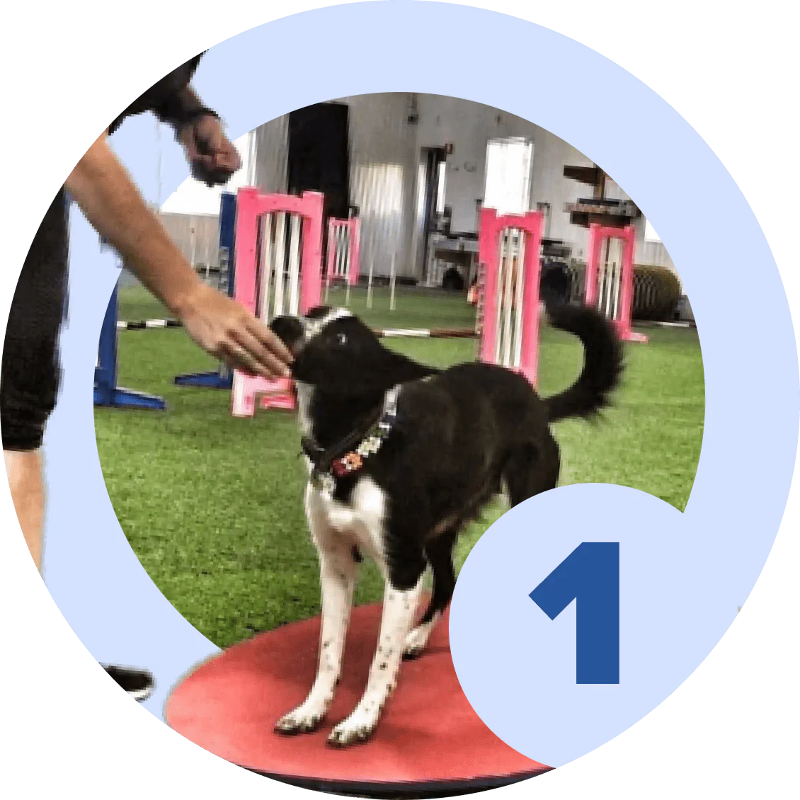 Agility Foundations