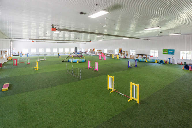 Agility Foundations - Image 2