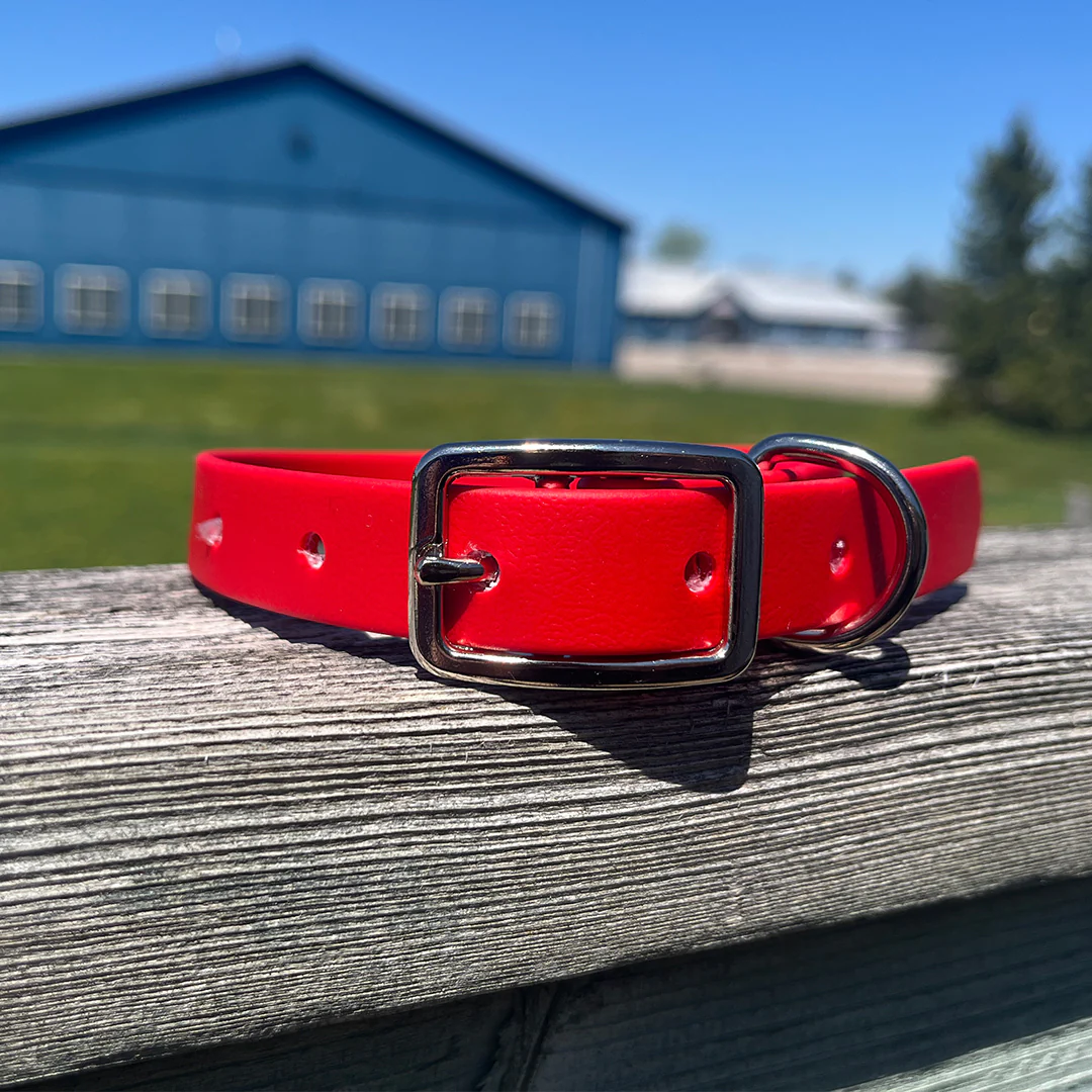 McCann Dogs "O Canada Collar" - Image 3